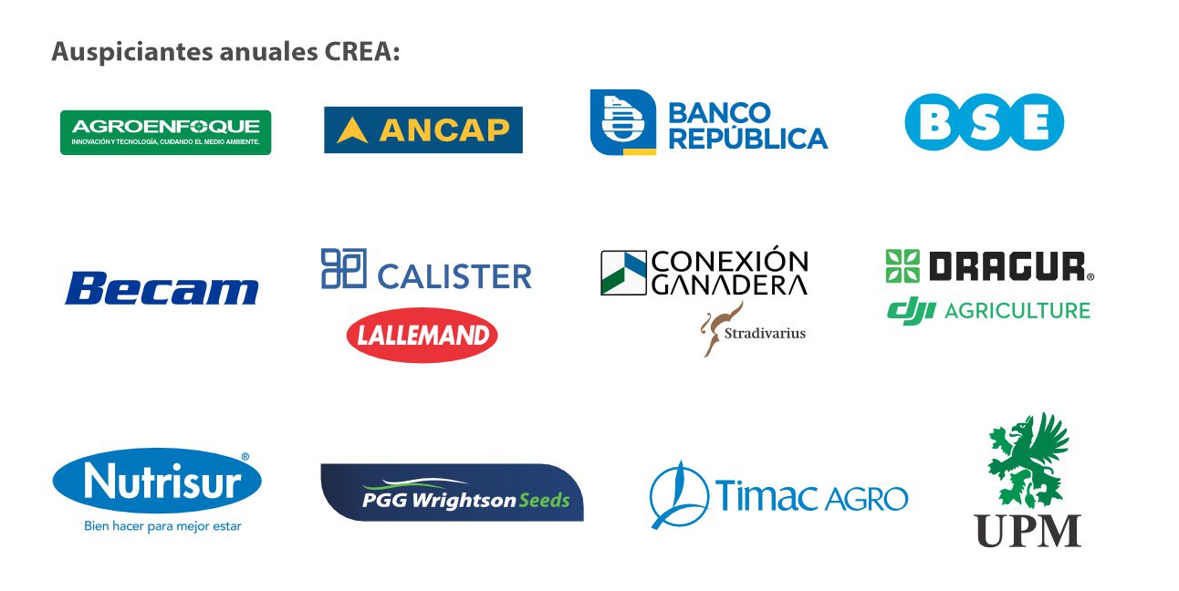 Web Banner Auspiciantes 2024c