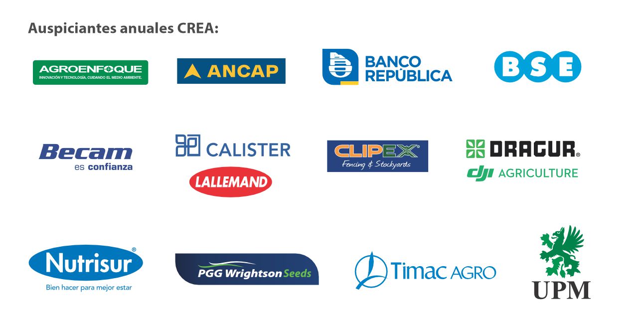 Web Banner Auspiciantes 2025b