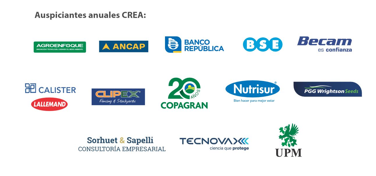 Web Banner Auspiciantes 2026