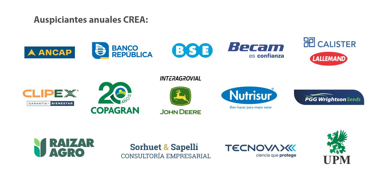 Web Banner Auspiciantes 2026e
