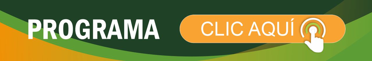 Web Banner Programa
