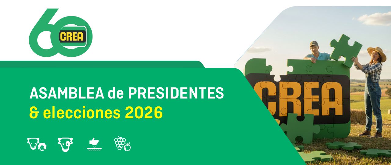 Web Banner Final Asamblea Y Elecciones Zoom 10.26