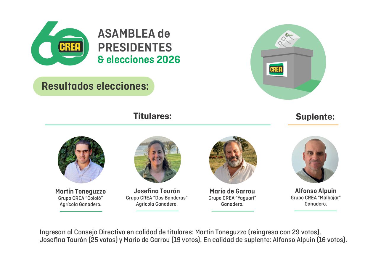 Web Resultado Elecciones Zoom 10.26